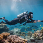 découvrez subea by decathlon, votre spécialiste en plongée, snorkeling, apnée et chasse sous-marine, avec du matériel innovant et accessible pour tous les niveaux.