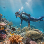 découvrez subea by decathlon, votre expert en plongée, snorkeling, apnée et chasse sous-marine. équipez-vous pour explorer les fonds marins en toute sécurité et avec confort.