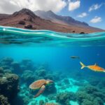 explorez les meilleurs spots de snorkeling à lanzarote en 2026 et plongez dans des eaux cristallines pour une expérience inoubliable entre faune marine et paysages sous-marins exceptionnels.
